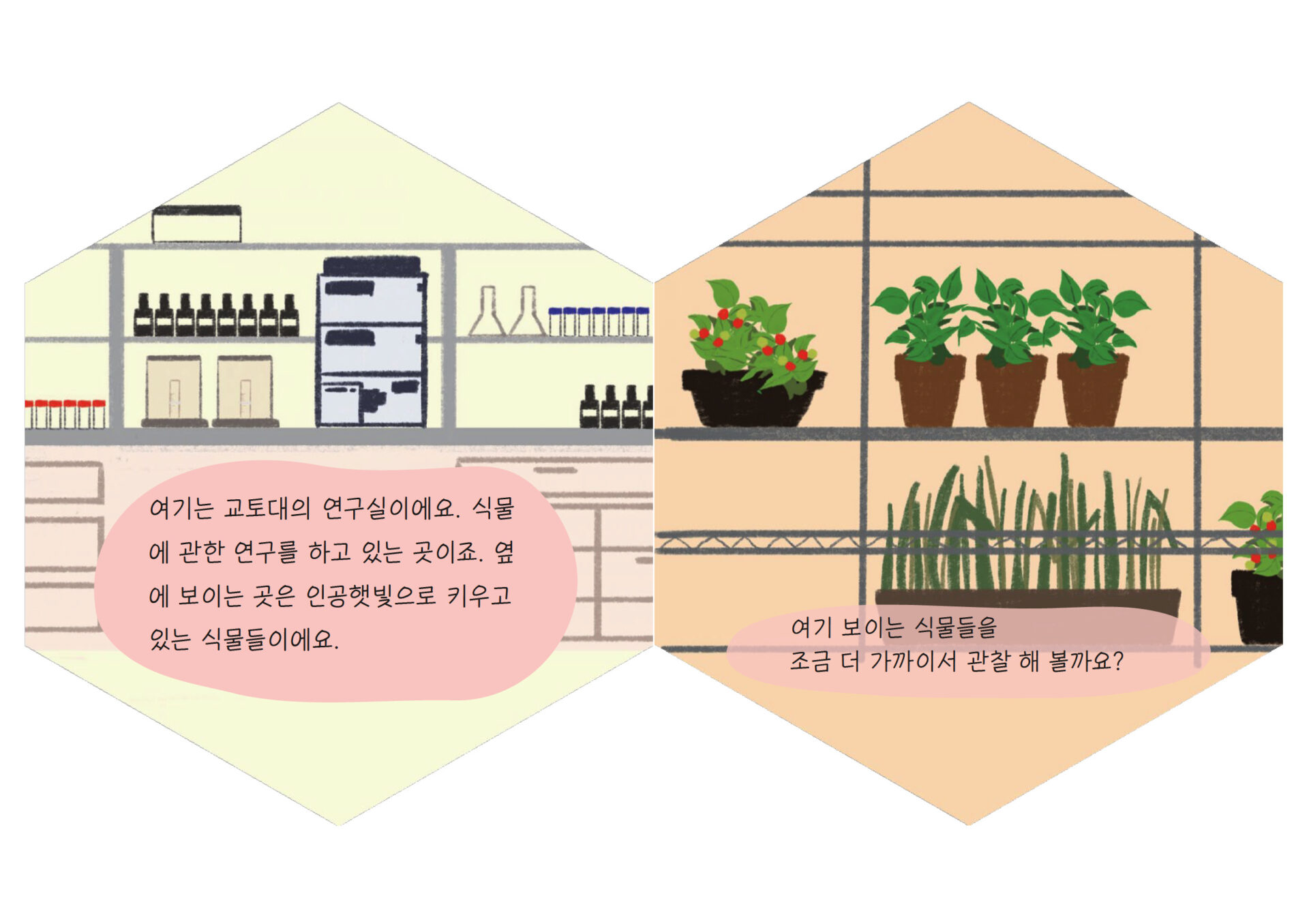 絵本「植物細胞とバイオのおはなし」