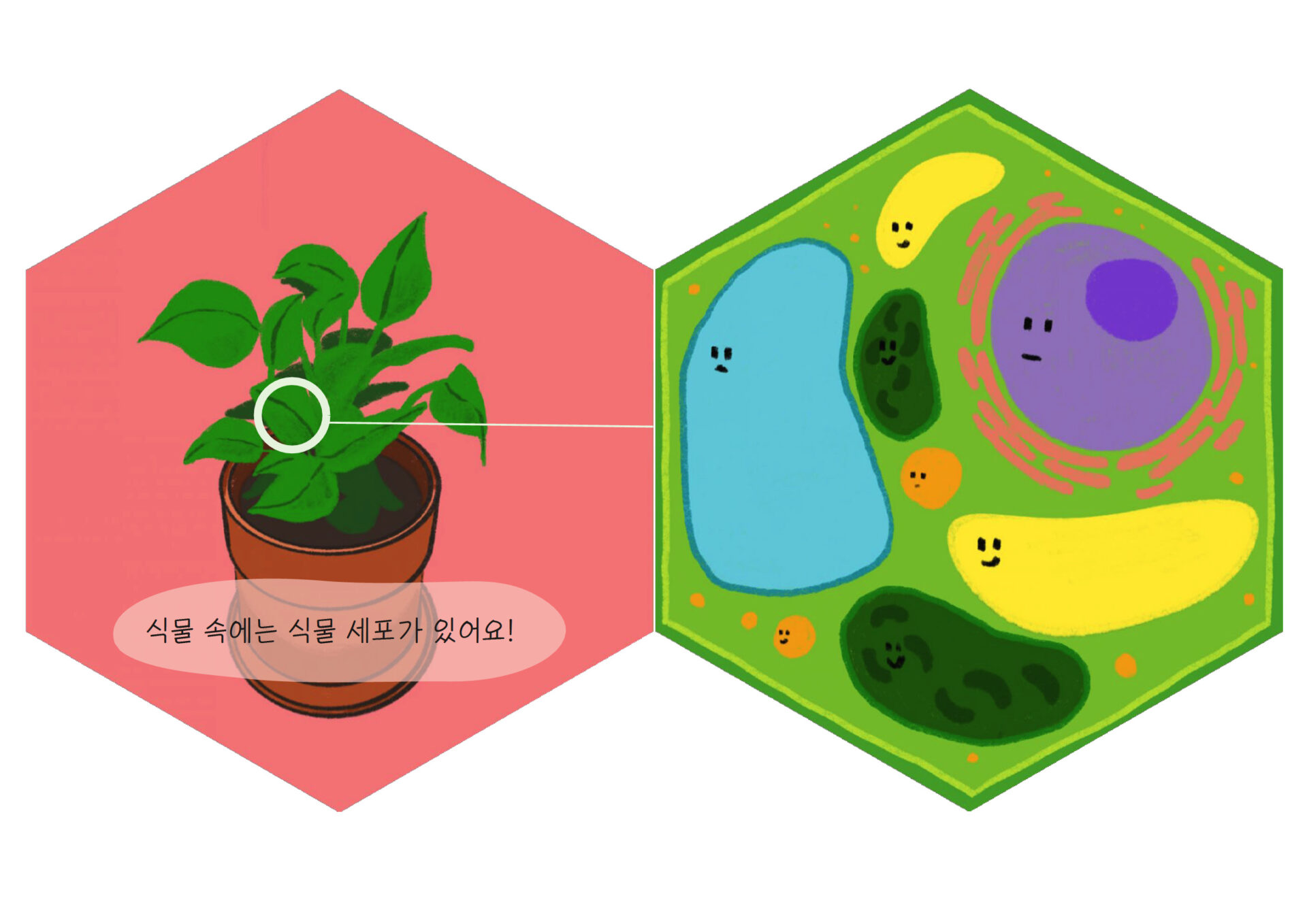 絵本「植物細胞とバイオのおはなし」