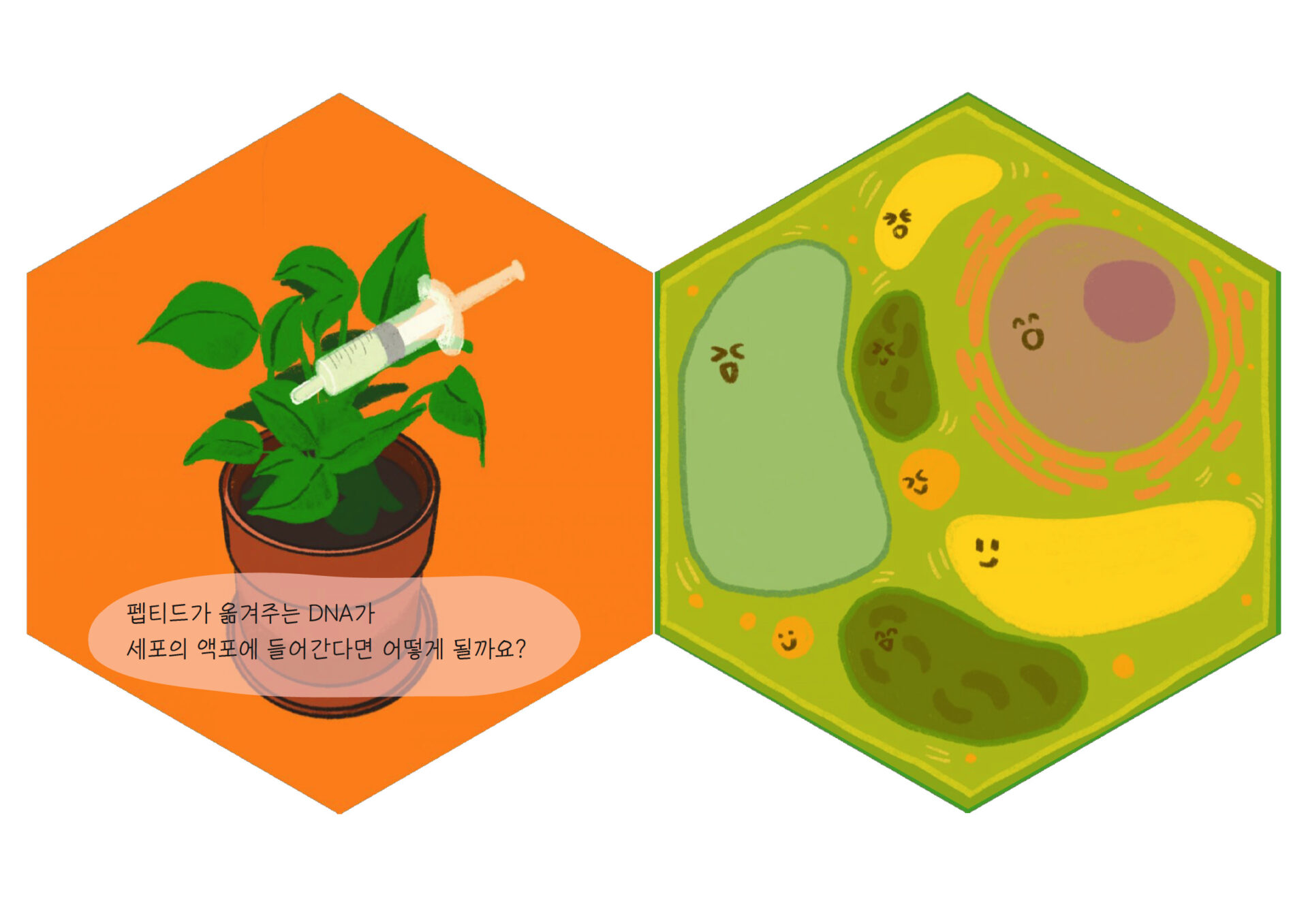 絵本「植物細胞とバイオのおはなし」