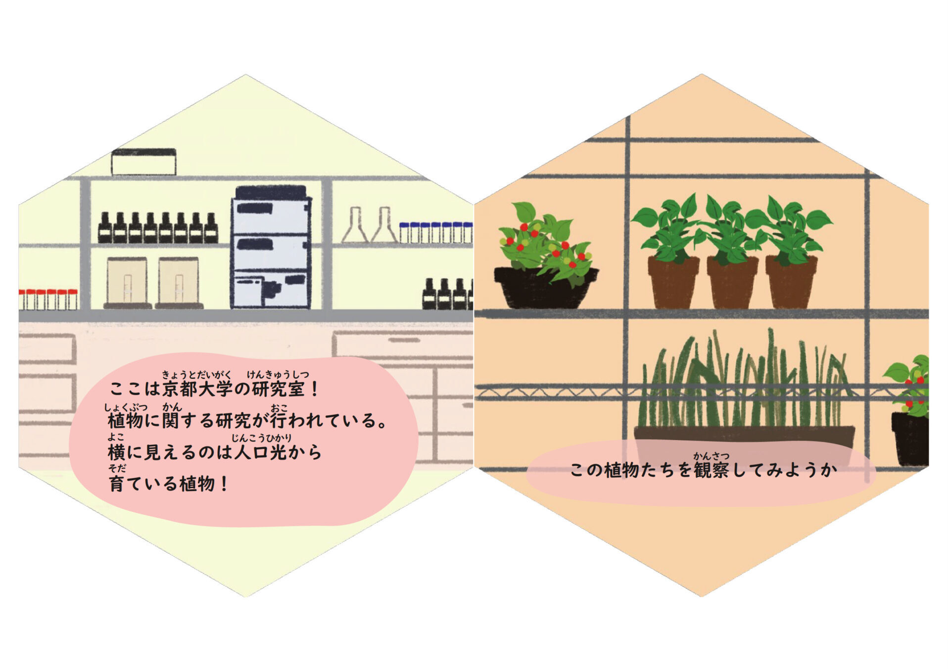 絵本「植物細胞とバイオのおはなし」