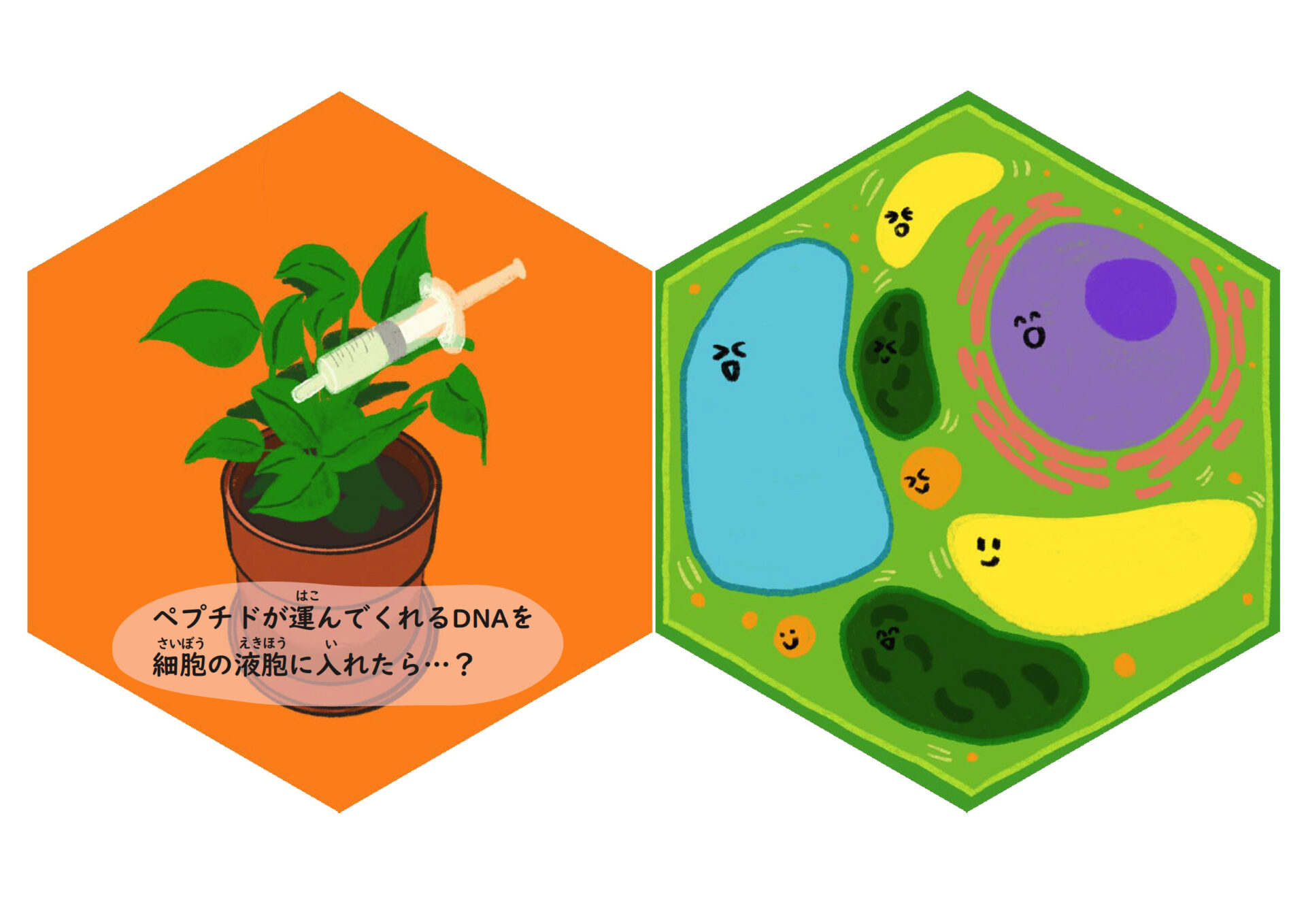 絵本「植物細胞とバイオのおはなし」