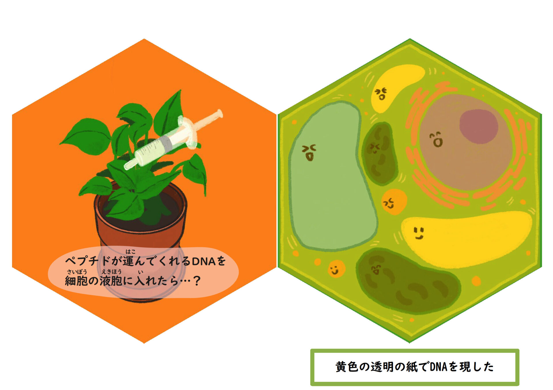 絵本「植物細胞とバイオのおはなし」