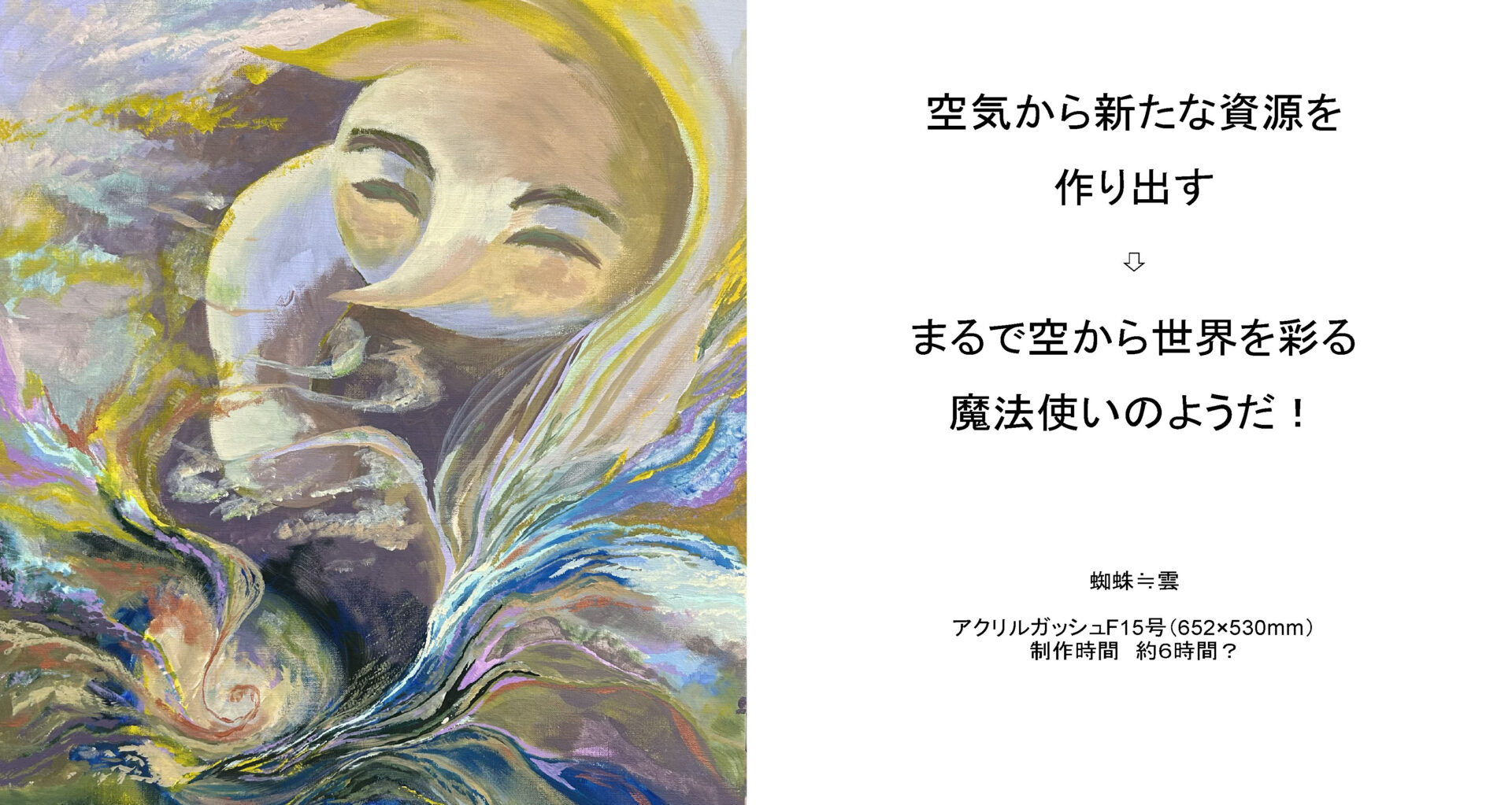 蜘蛛≒雲 資料