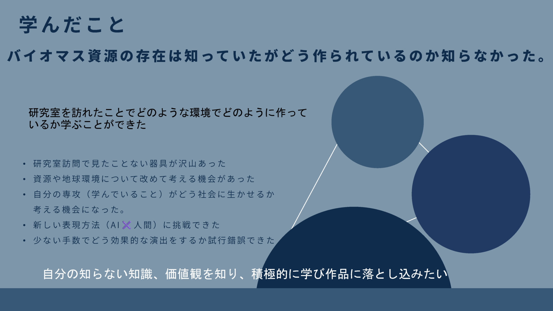 糸環樹 資料