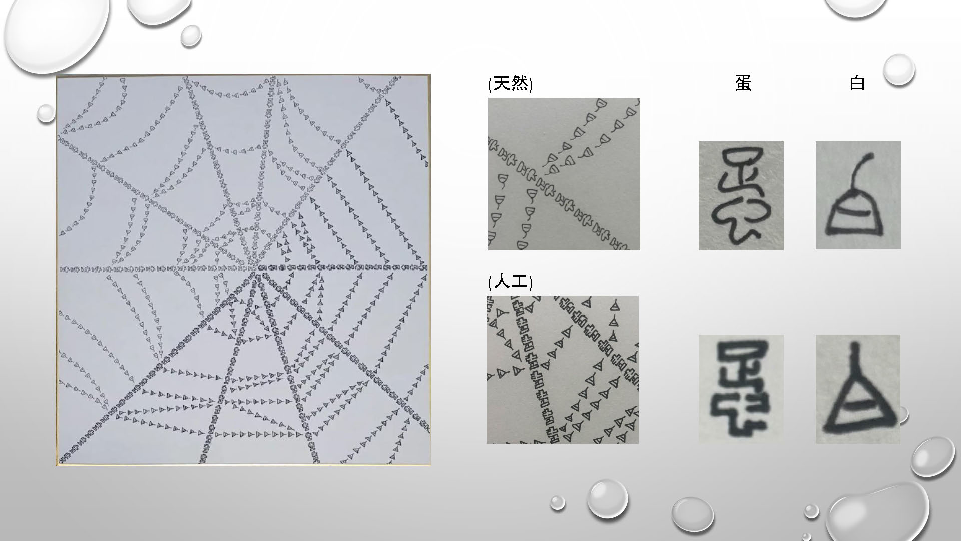 クモ糸 資料