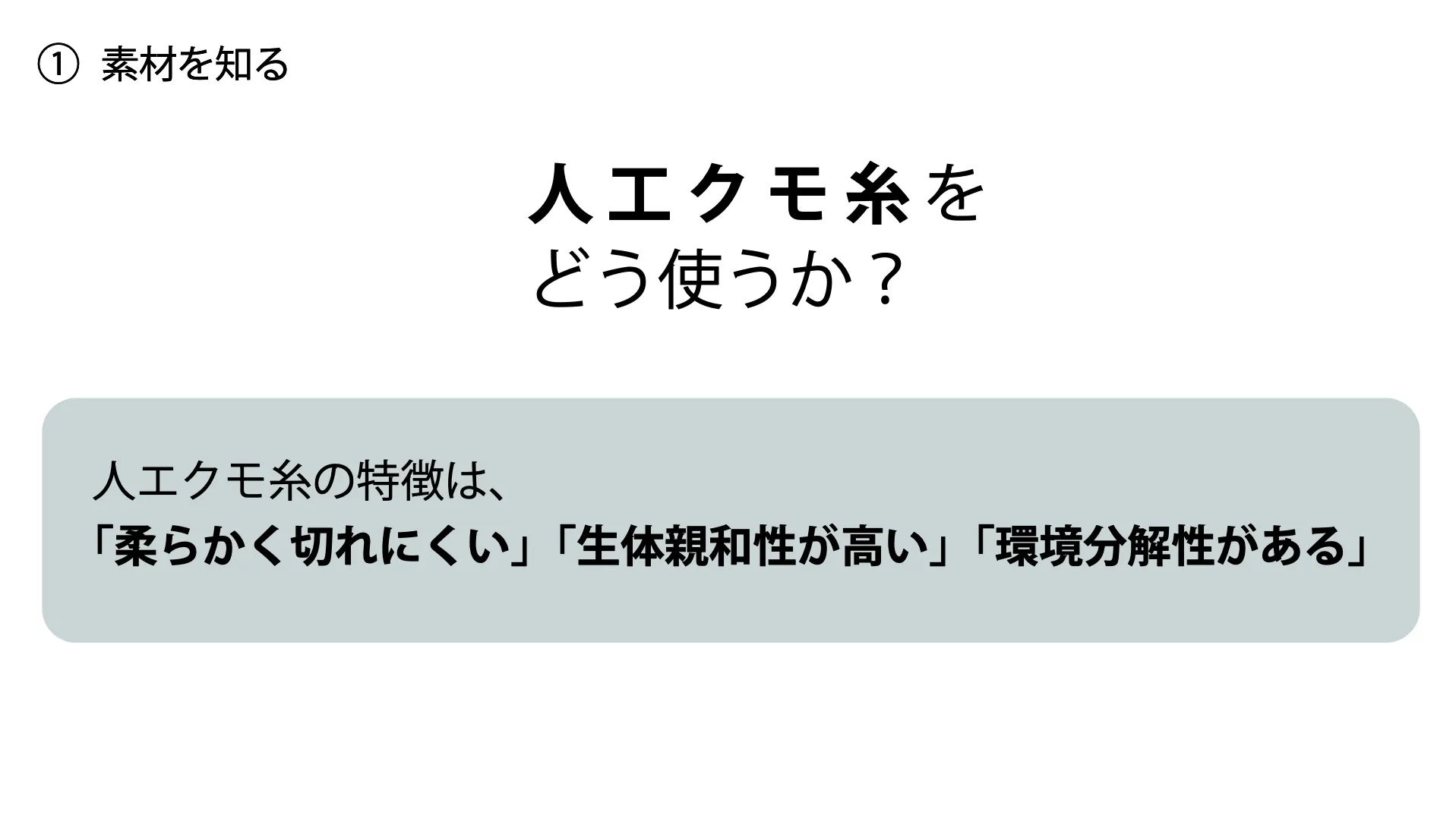 人工クモ糸から考える、ディスポーザブル・メイクツールのプレゼン資料 2ページ目