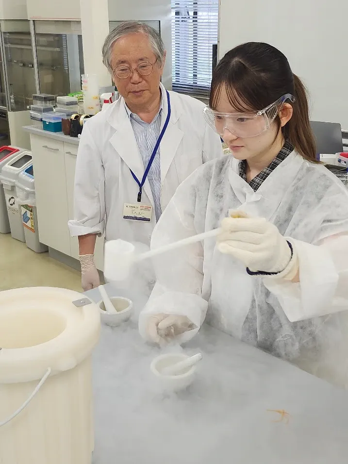 DNAの沈殿実験を行う学生と教員