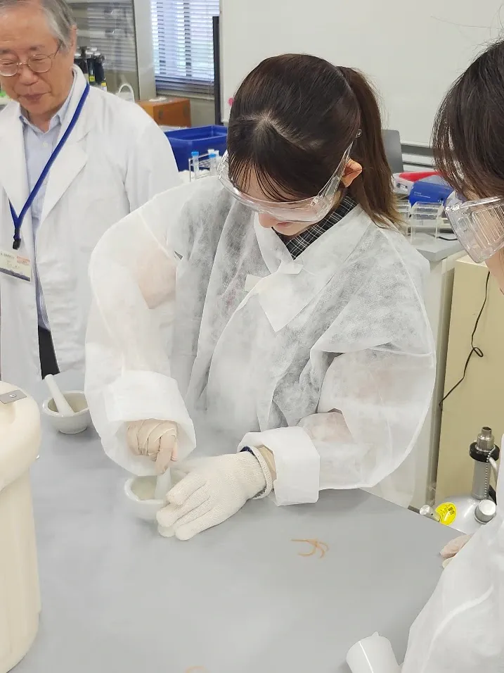 研究室で実験に取り組む様子